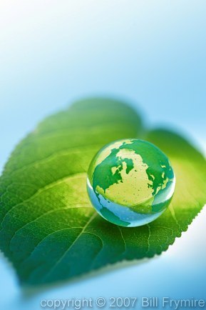 world globe on a green leaf