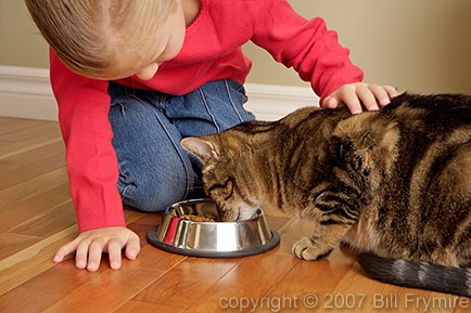 girl feeding cat