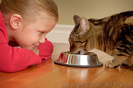 girl feeding cat