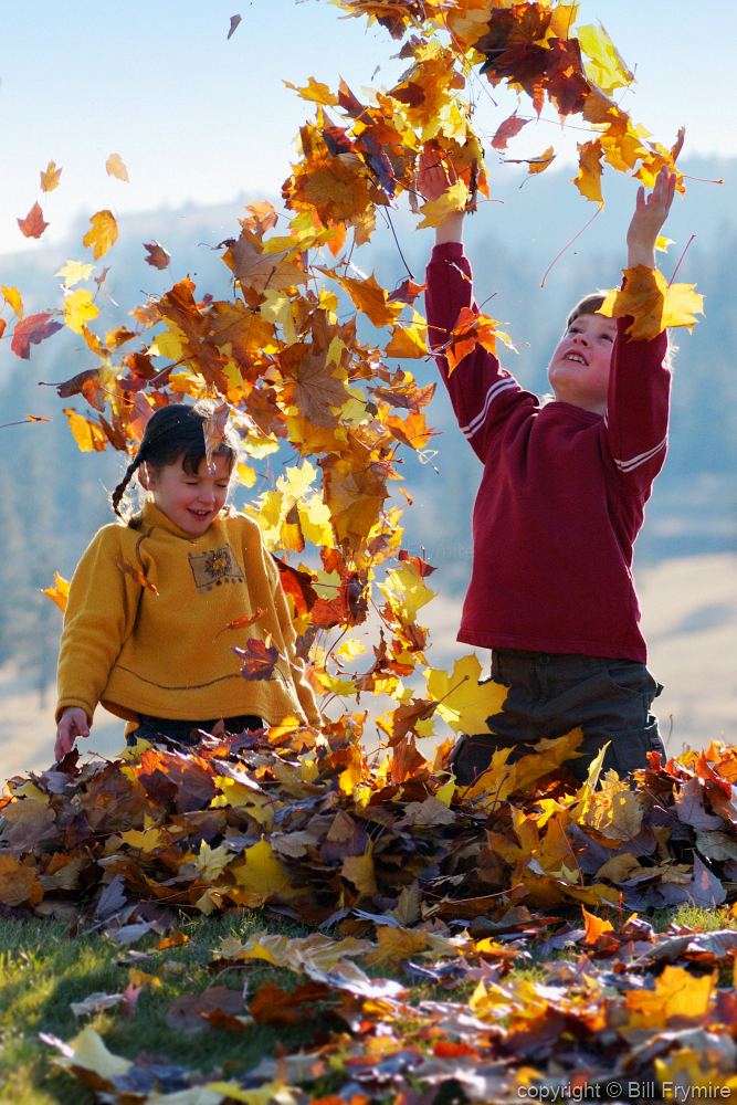children playing in leaves