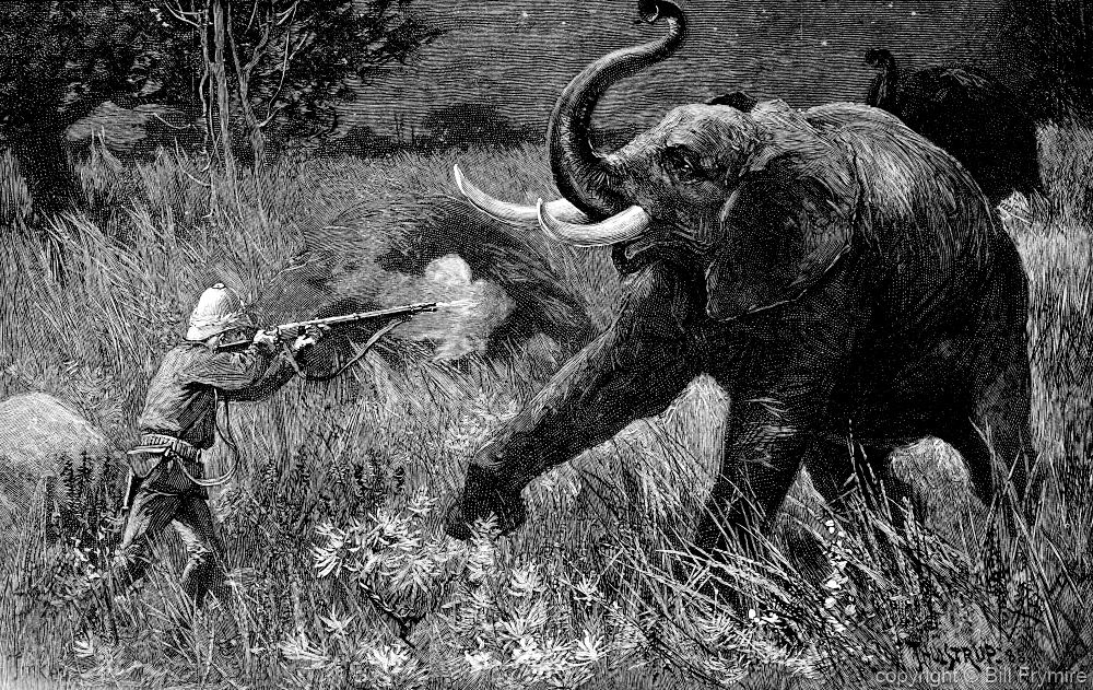 Comparison Of Shooting An Elephant By George