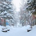 Aspen Colorado winter
