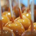 Caramel covered apples 