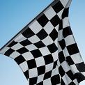 hand waving checkered race flag