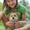 Child playing with a puppy