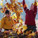 children playing in leaves