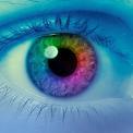 colorful human eye
