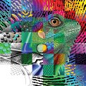 colorful tiled iguana