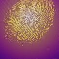 fingerprint