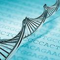 DNA strand over DNA code