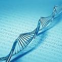 DNA strand over DNA code