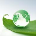 Marble globe on green leaf