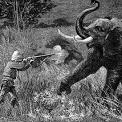 elephant hunter