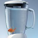 fish in a blender