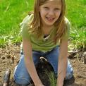 young girl planting a pine tree