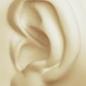 Human Ear 