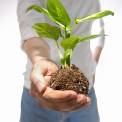 Man holding plant