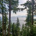 View of trees and ocean , Puget Sound