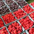 fresh organic berries on display