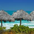 Grass palapas on the beach in front of ocean waves