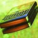 Blackberry on green background