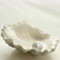 pearl in an oyster shell