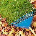 raking leaves