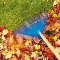 raking leaves