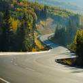 Winding road through forest