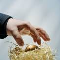 stealing golden nest egg