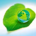 World globe on a green leaf