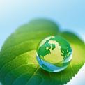 world globe on a green leaf
