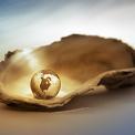 world globe in oyster