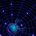 world wide web