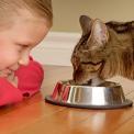 girl feeding cat